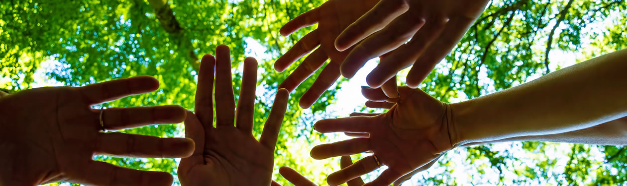 sustainability-framework-1